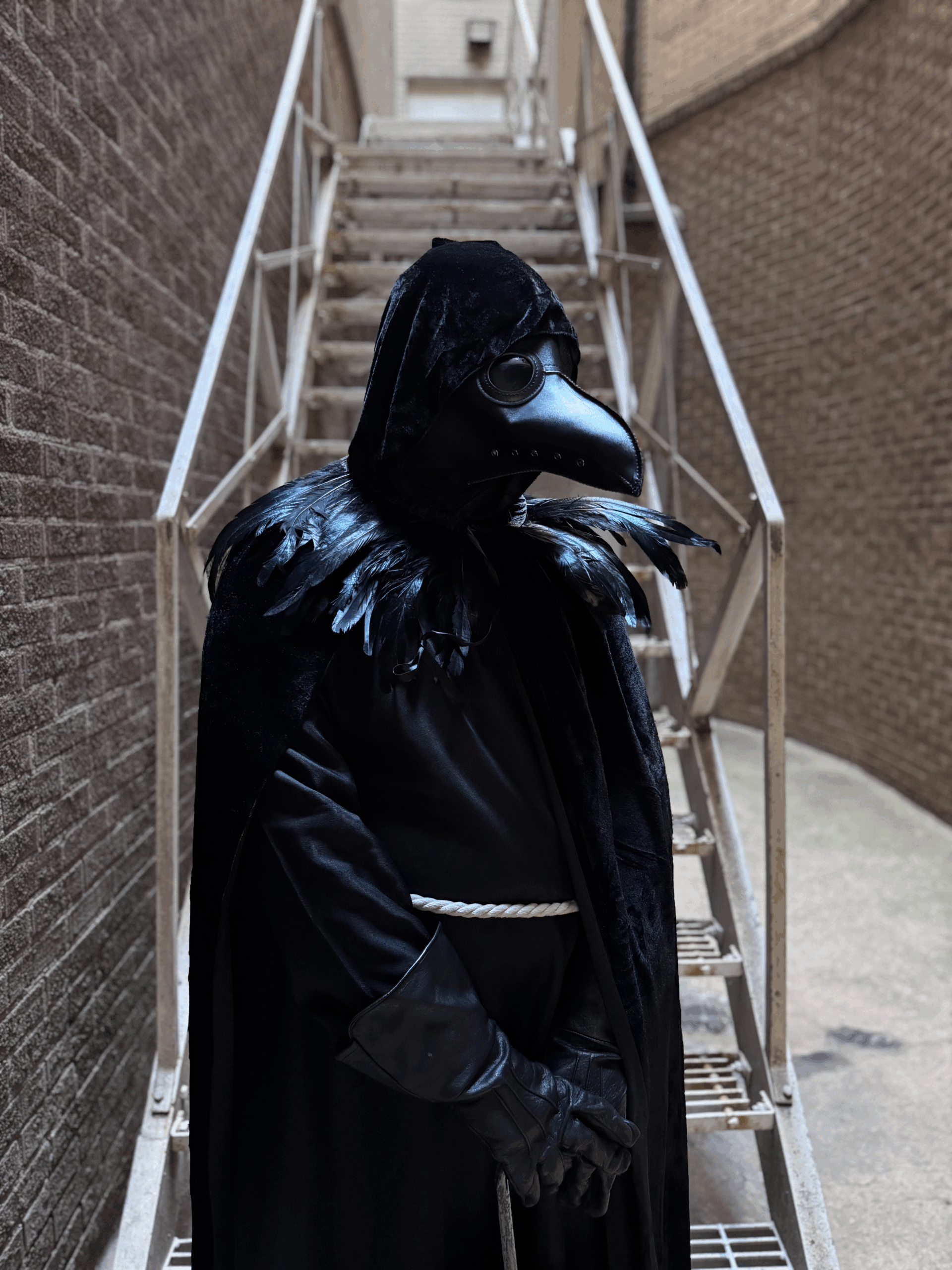 Shuddersome: Tales of Poe